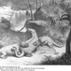 Illustration for article titled Strange 19th Century Drawings of Dinosaurs and Other Extinct Animals